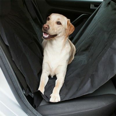 Protection voiture chien | Imperméable™ - Mon Intérieur Voiture