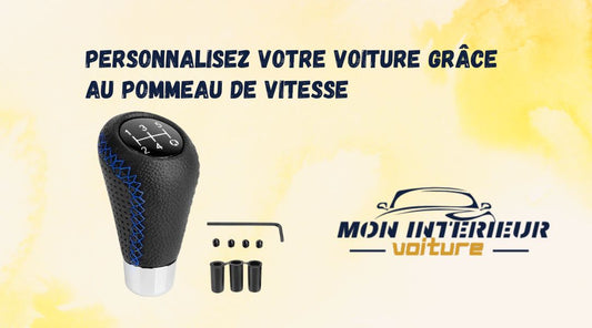 Blog pommeau de vitesse