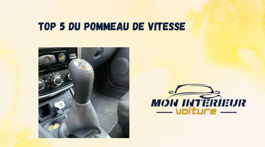 Blog top 5 du pommeau de vitesse