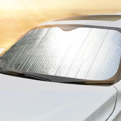Pare soleil voiture pare brise avant _désert