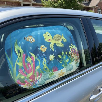 Pare soleil voiture océan