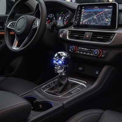 Pommeau de vitesse crâne