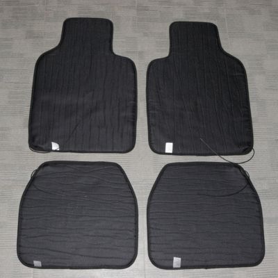 tapis pour voiture vue de dos