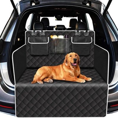 tapis voiture coffre chien allongé
